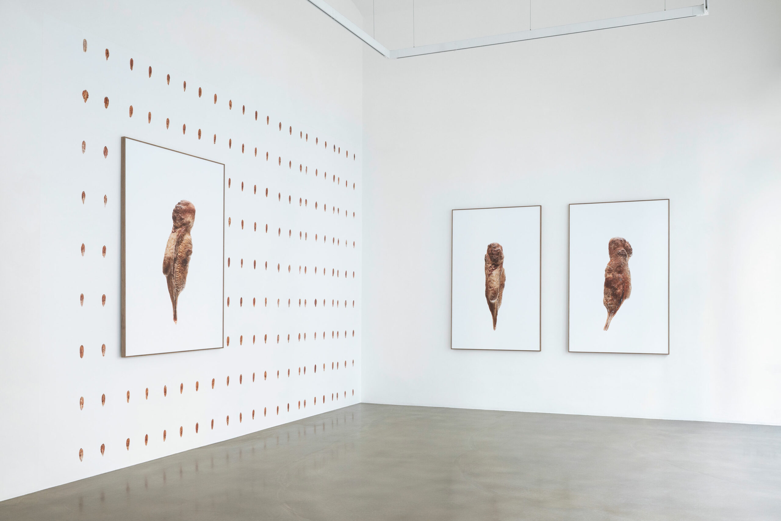 SongJing_c_EvaKelety_001