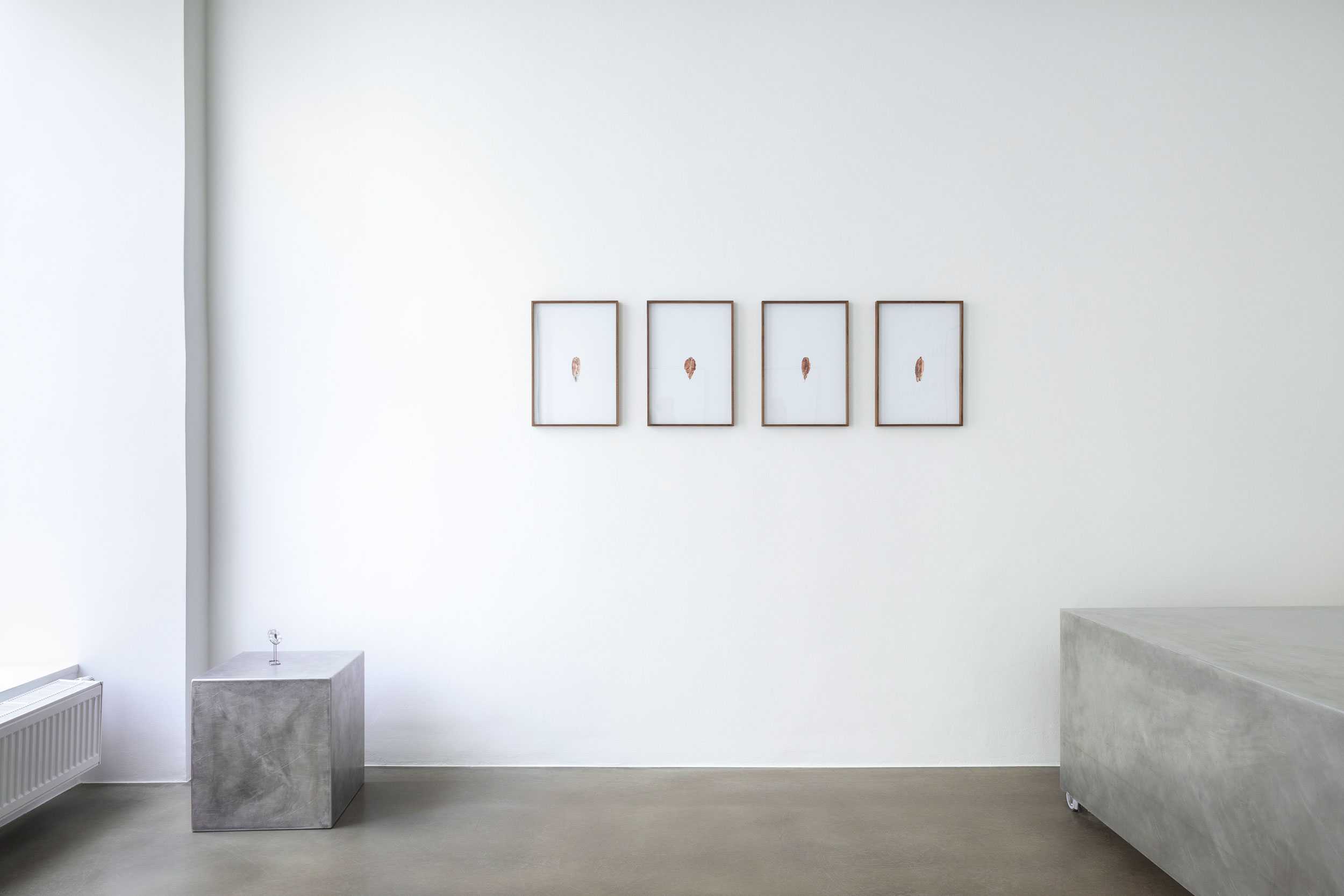 SongJing_c_EvaKelety_002