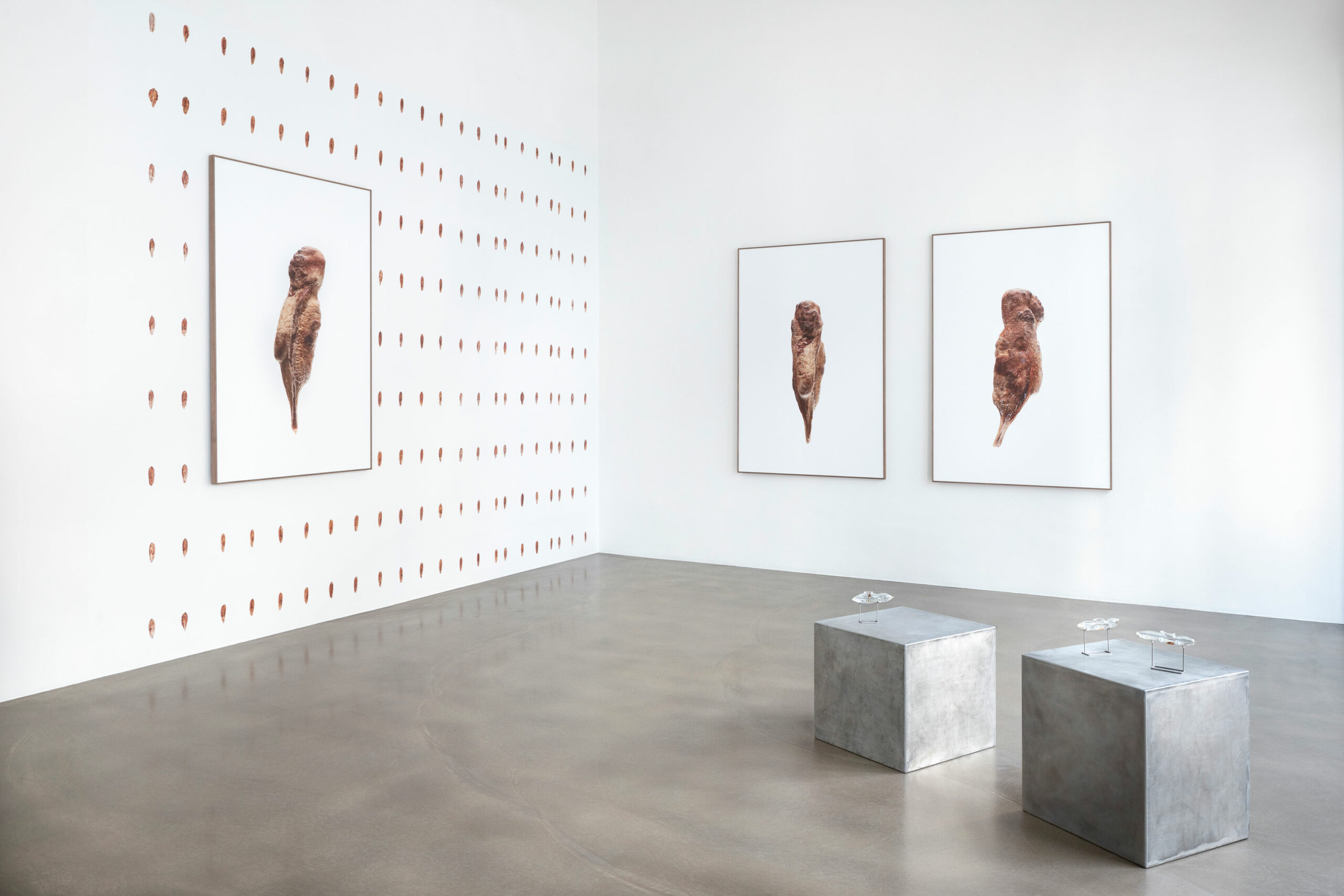 SongJing_c_EvaKelety_004