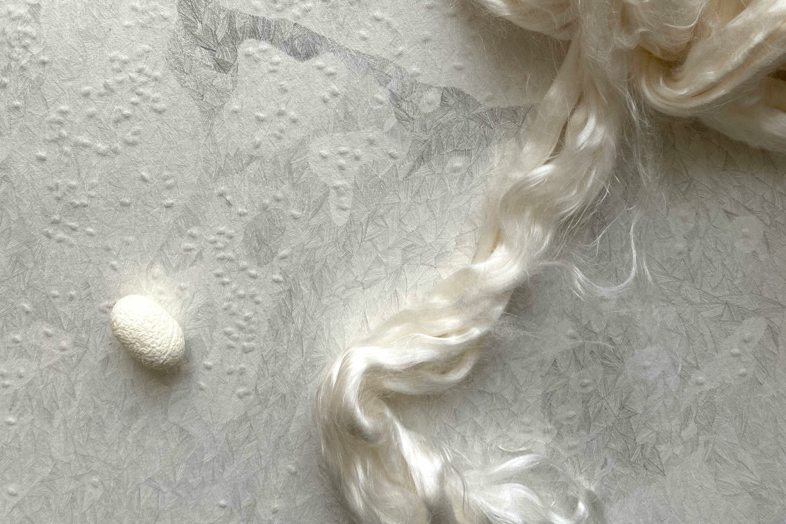 THE UNTAMED HAIR OF THE GRANDMOTHER