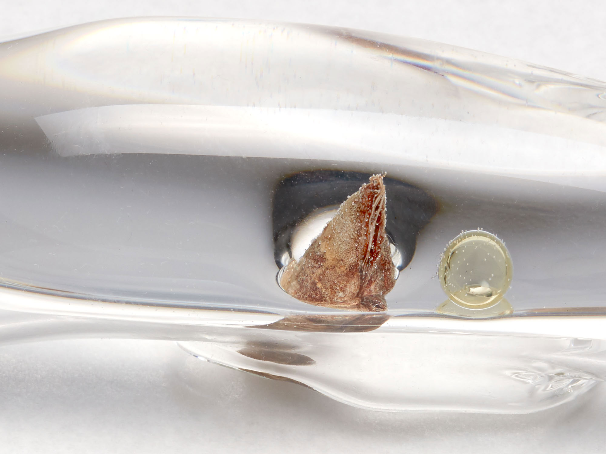 songjing-venus_in_bath-0